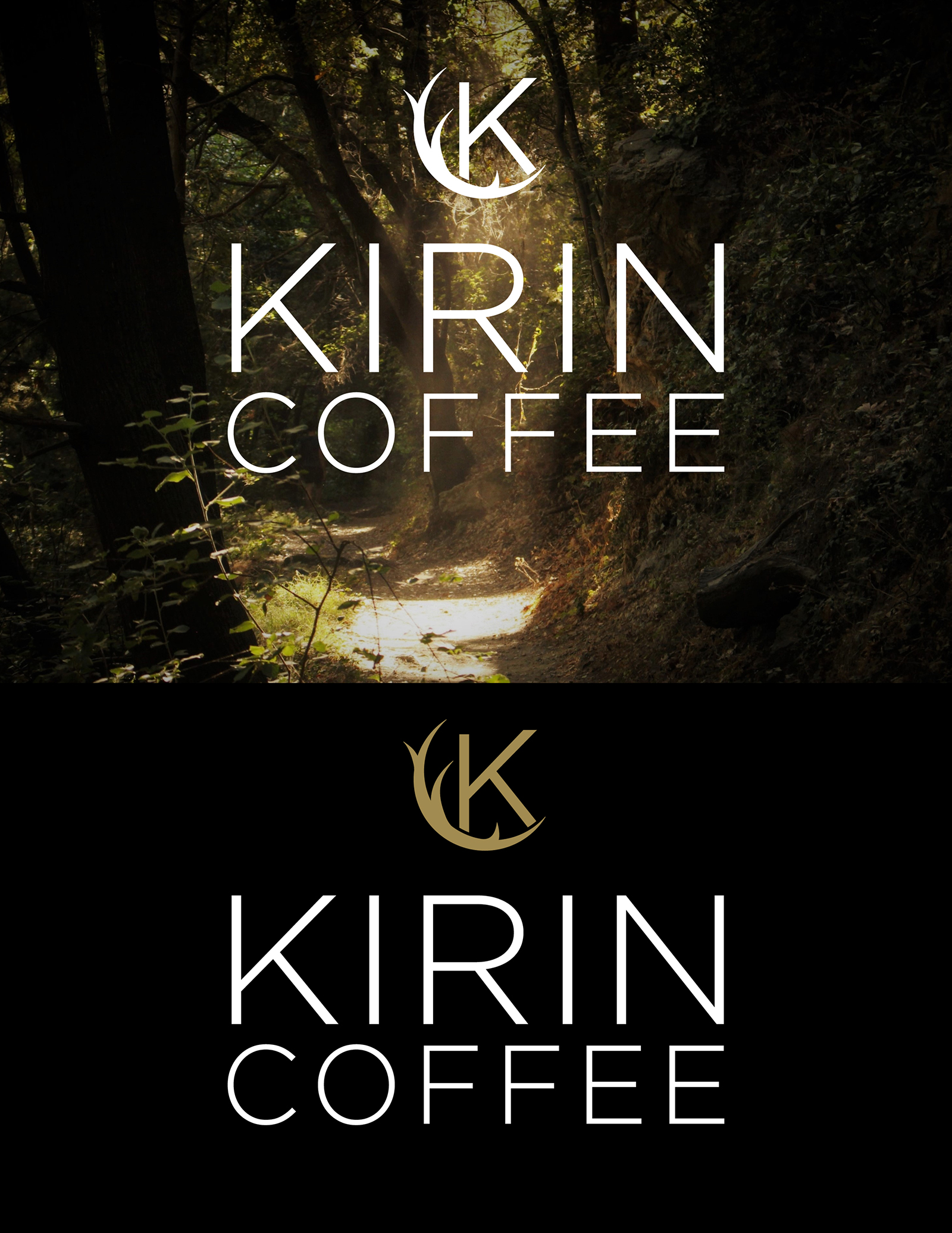 Logo Design by 50ft Monkey for this project | Design #30240699