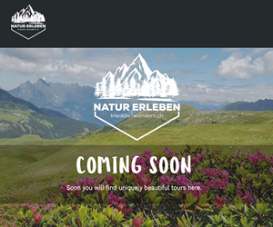 Logo Design by ninja design art for this project | Design: #30216745