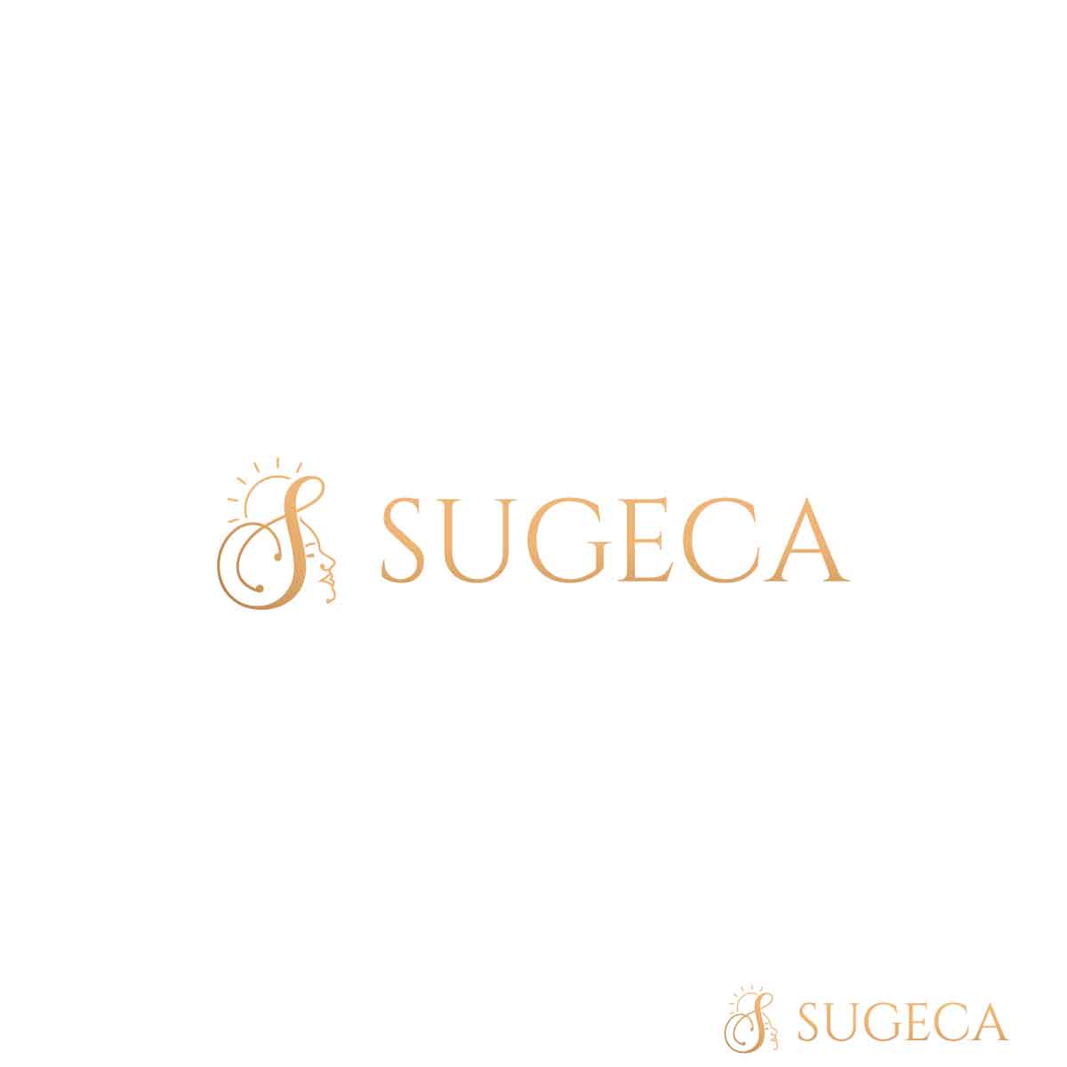 Logo Design by fly  design for this project | Design #30224121