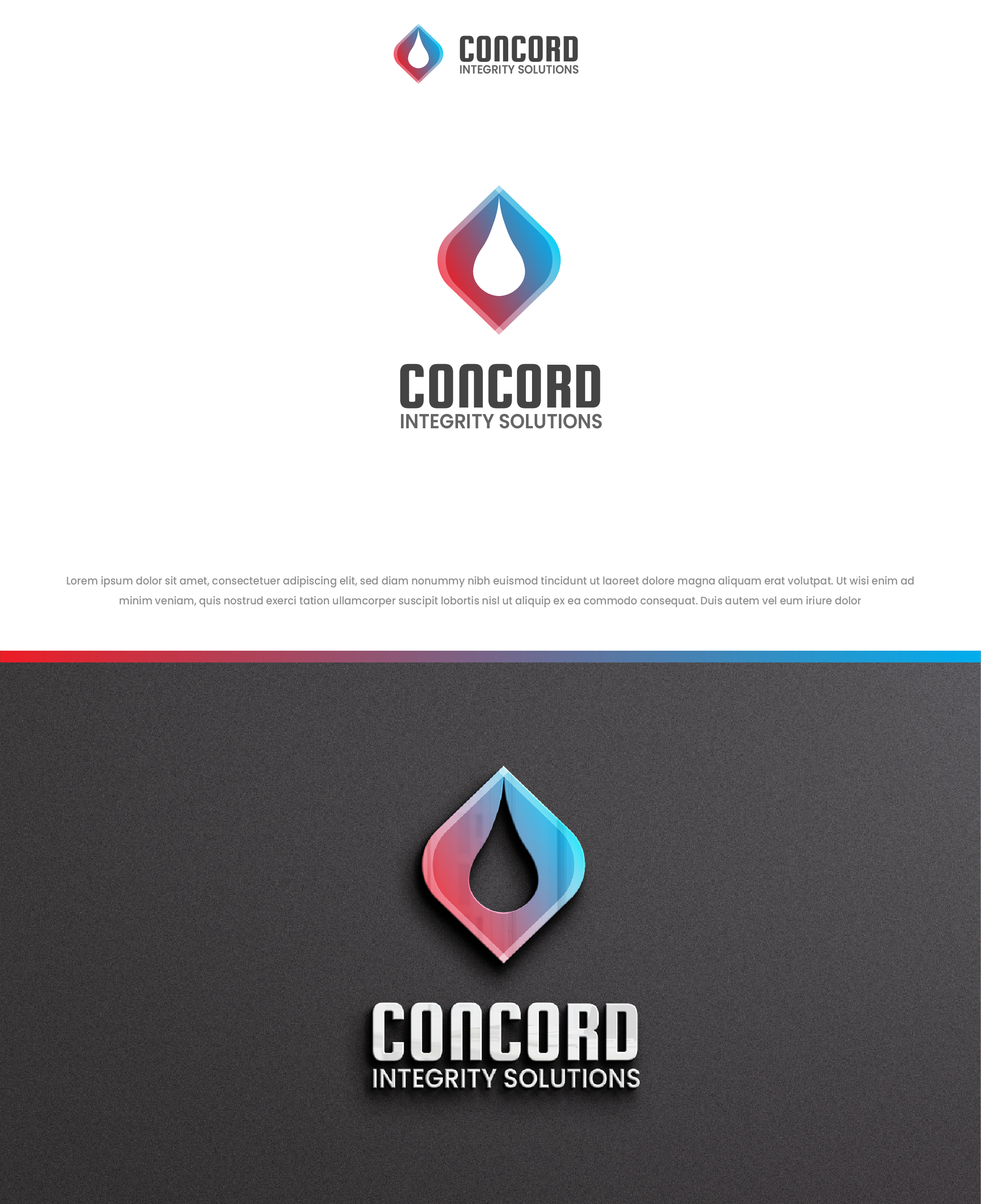 Logo Design by DezignFreak for Concord Integrity Solutions  | Design #30242934