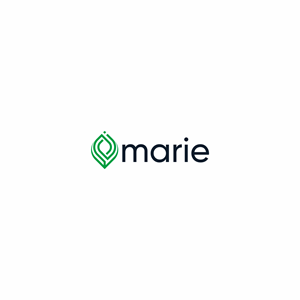 Logo-Design von sabina aiko für dieses Projekt | Design: #30279048