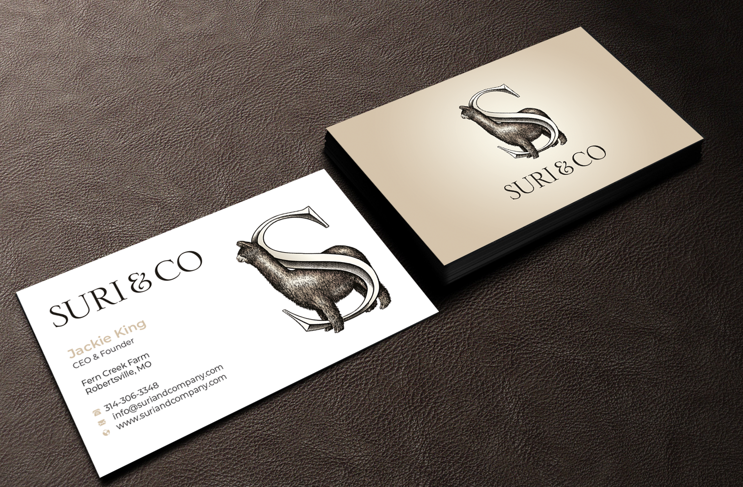 Business Card Design by Graphixpointt for this project | Design #30236326