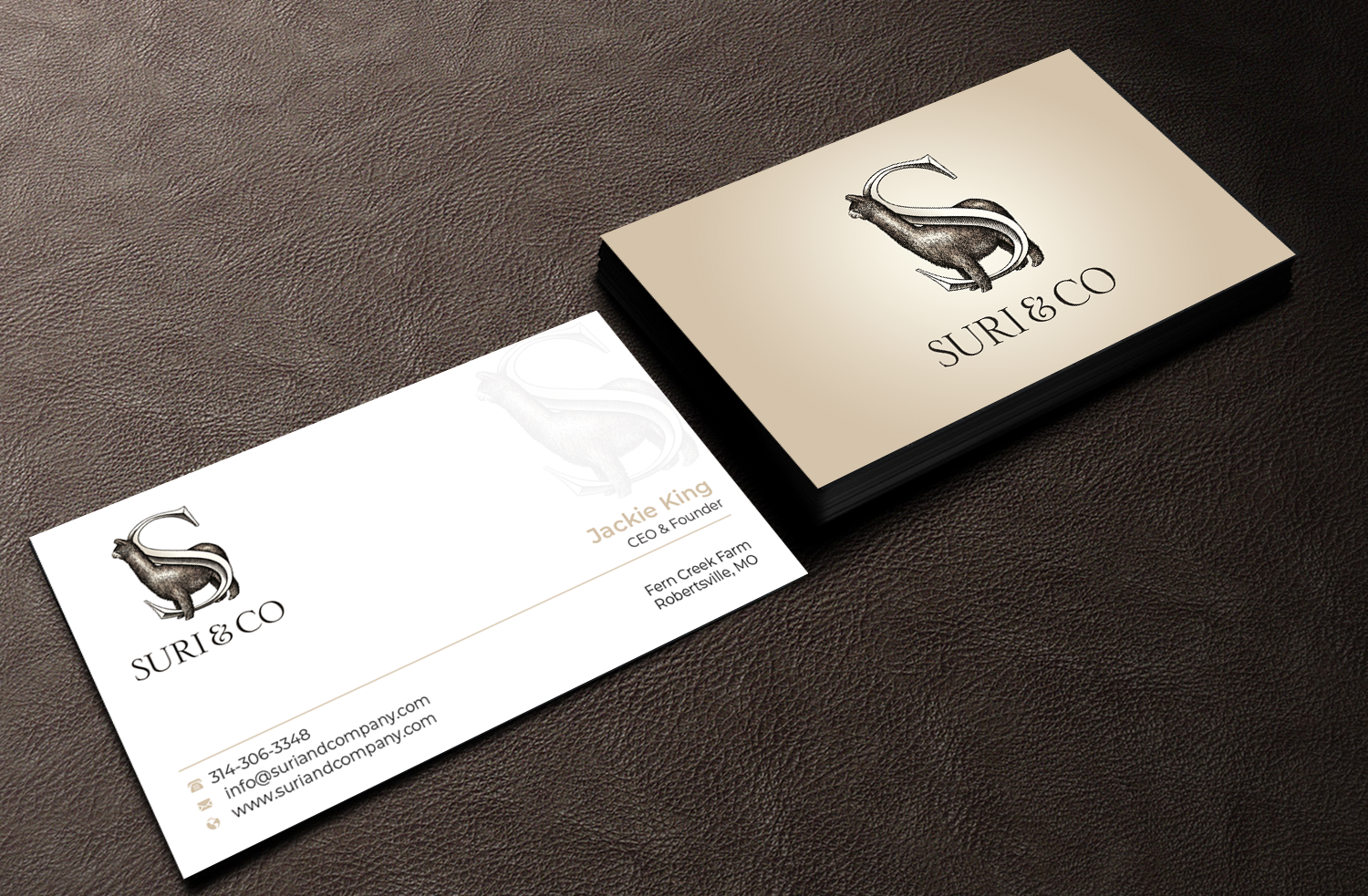 Business Card Design by Graphixpointt for this project | Design #30236329