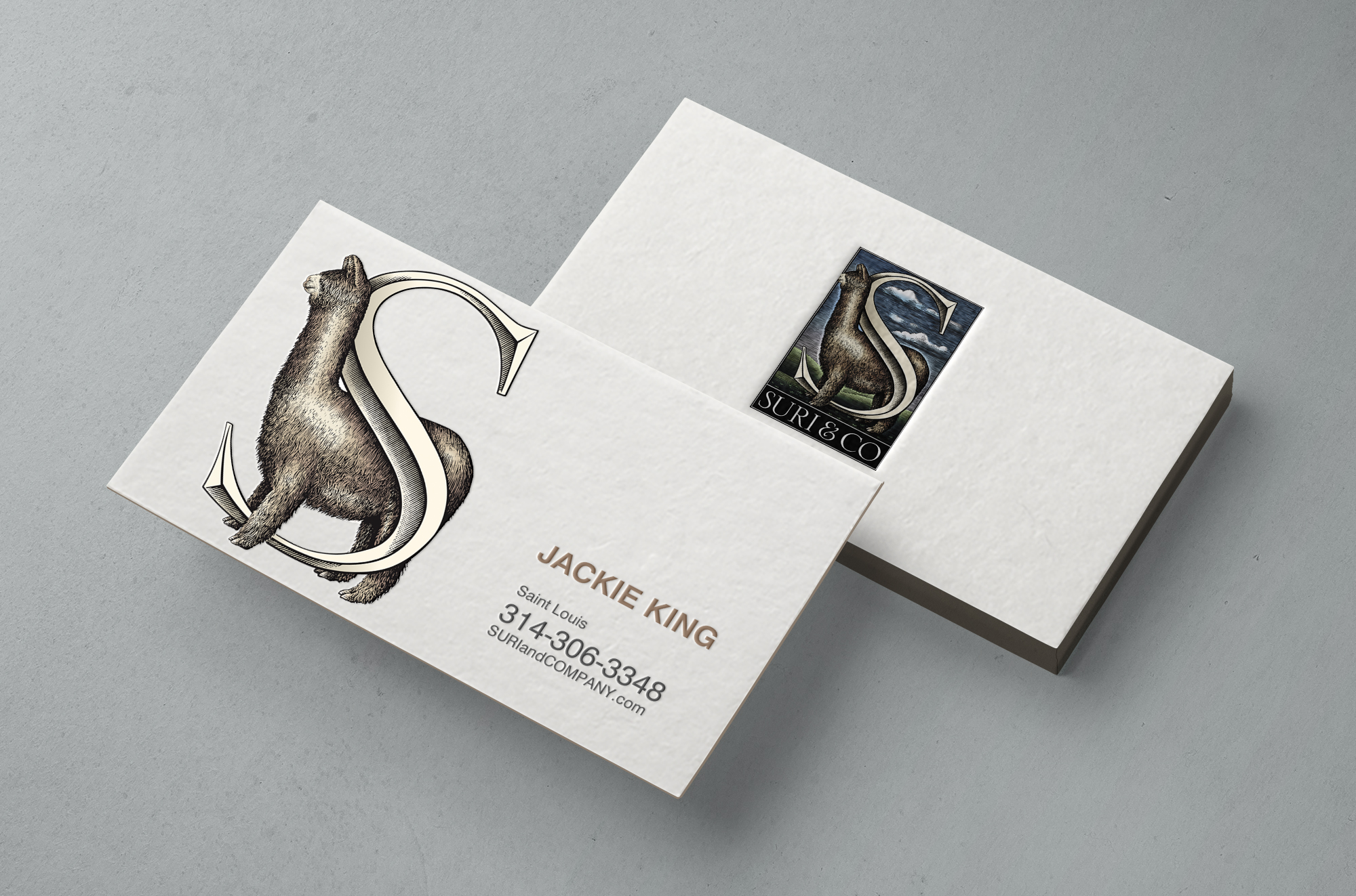 Business Card Design by chandrayaan.creative for this project | Design #30238946