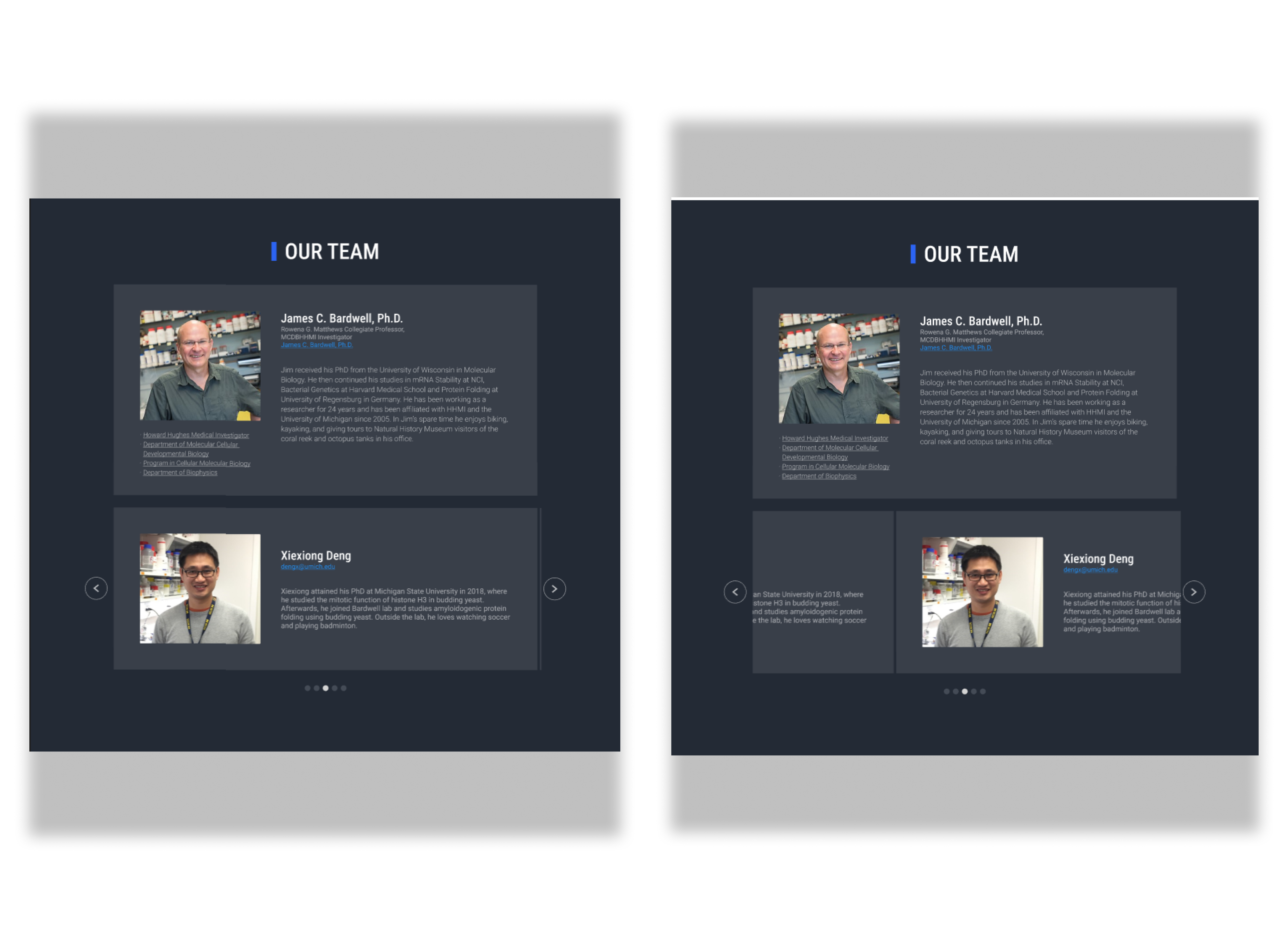 Diseño Web por Lahiru Nanayakkara para este proyecto | Diseño #30249845