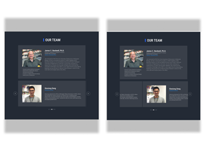 Web Design by Lahiru Nanayakkara for this project | Design: #30249845
