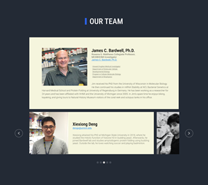 Web Design by Lahiru Nanayakkara for this project | Design #30287500
