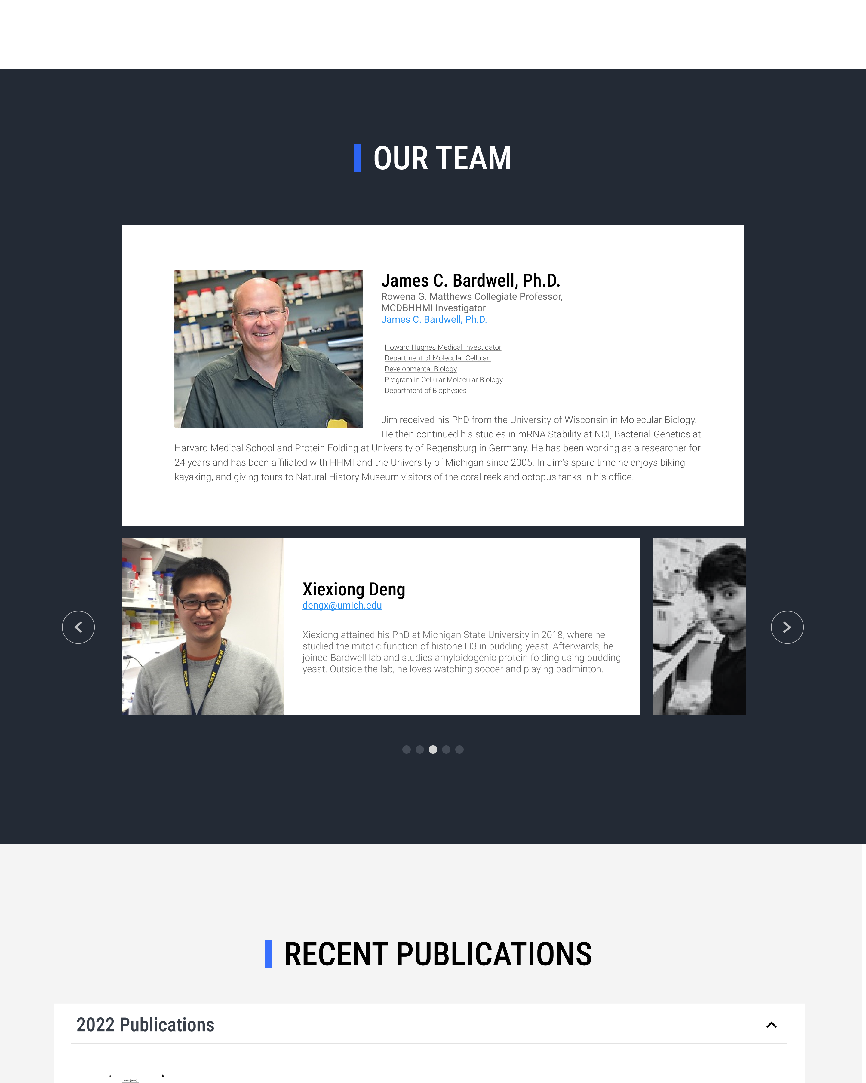 Diseño Web por Lahiru Nanayakkara para este proyecto | Diseño #30287501