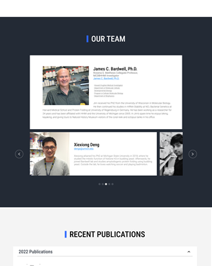 Web Design by Lahiru Nanayakkara for this project | Design: #30287501