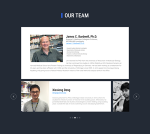Web Design by Lahiru Nanayakkara for this project | Design: #30287502