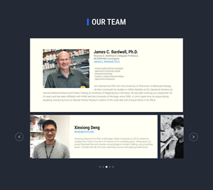Web Design by Lahiru Nanayakkara for this project | Design: #30287547