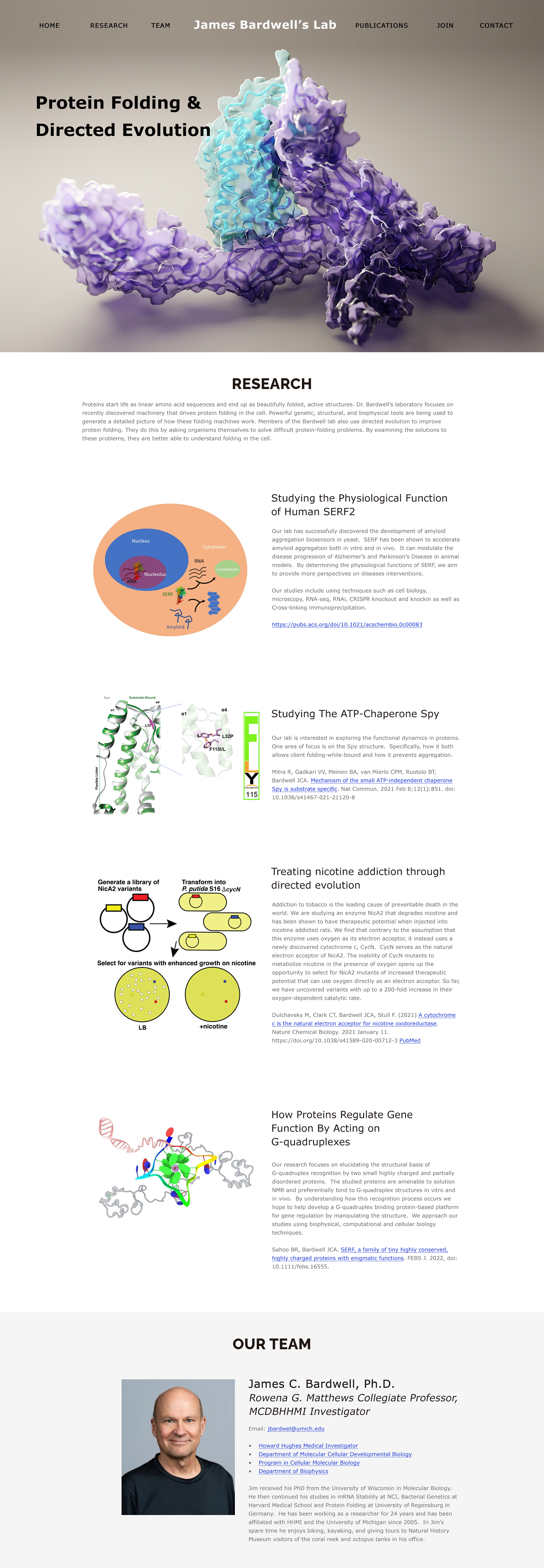 Web Design by M79 for this project | Design #30242939