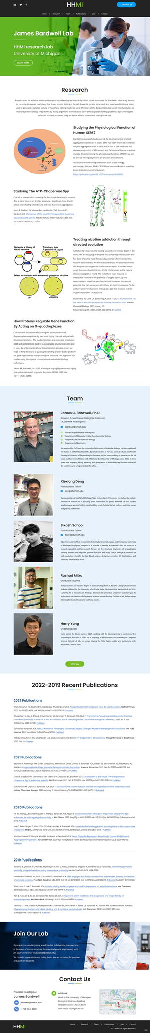 Web Design by pb for this project | Design: #30247009