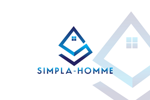 Logo Design by AHS Agency
