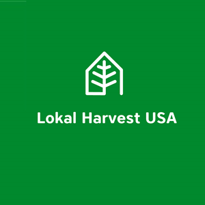 Logo Design by Abdel Basset