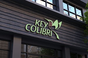 Design de Logo par Kavth pour KEY COLIBRI | Design : #30303116