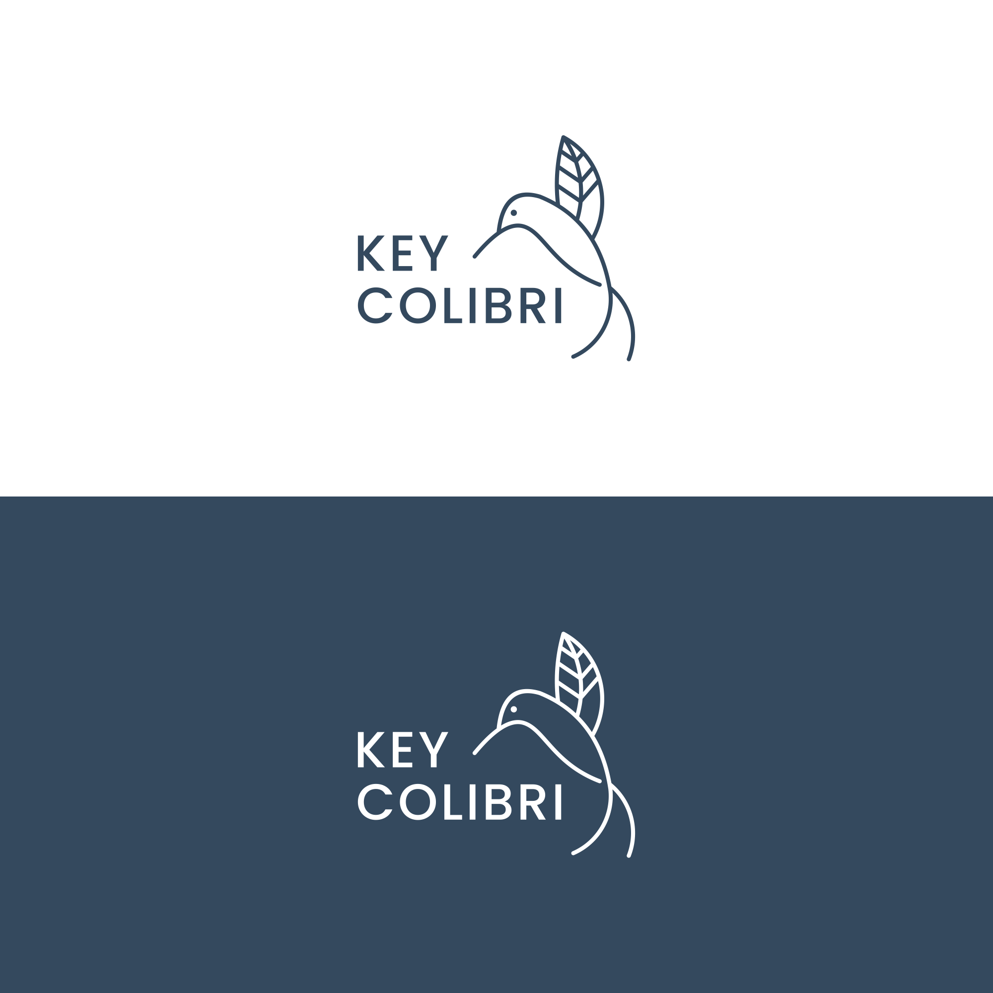 Design de Logo par Masio_ pour KEY COLIBRI | Design #30287959