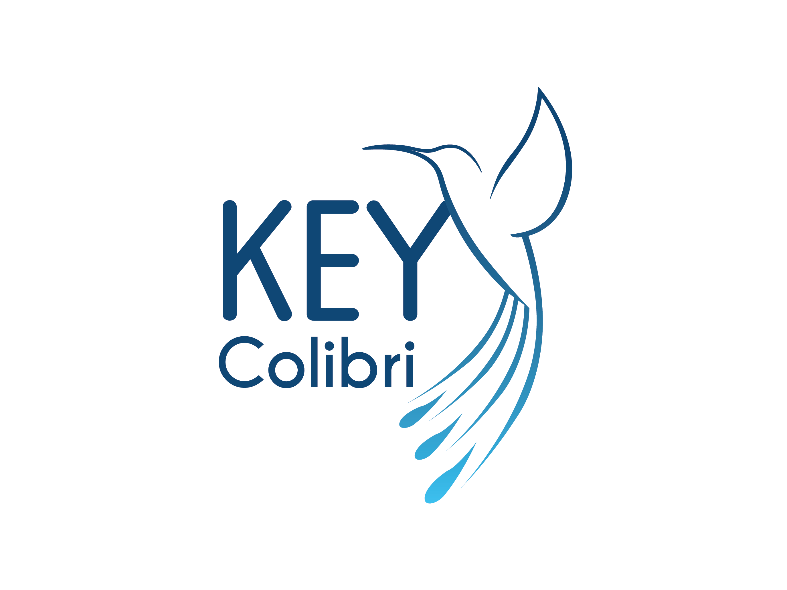 Logo Design by dhamkith for KEY COLIBRI | Design #30250562