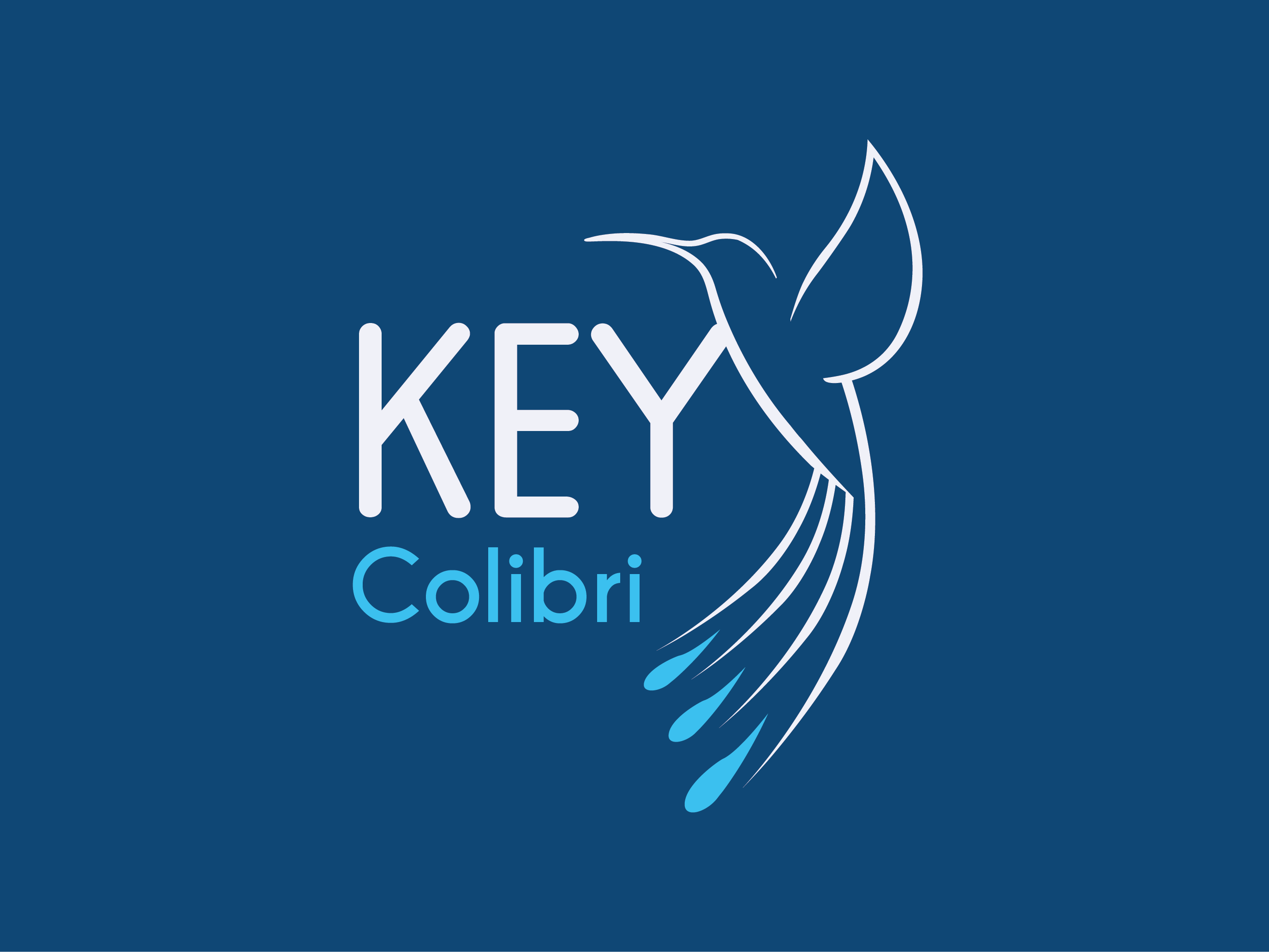 Logo Design by dhamkith for KEY COLIBRI | Design #30250579