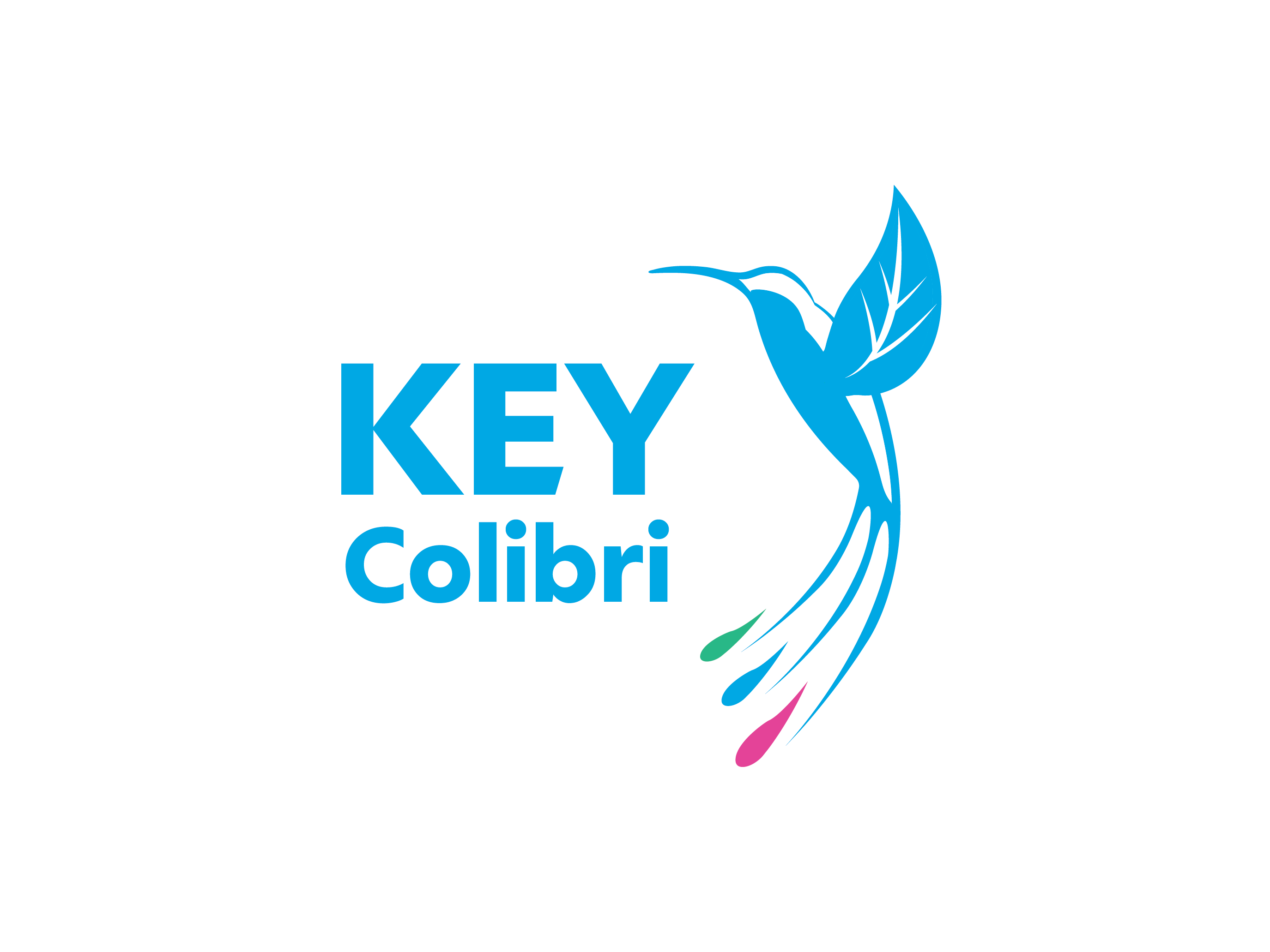 Logo Design by dhamkith for KEY COLIBRI | Design #30253221