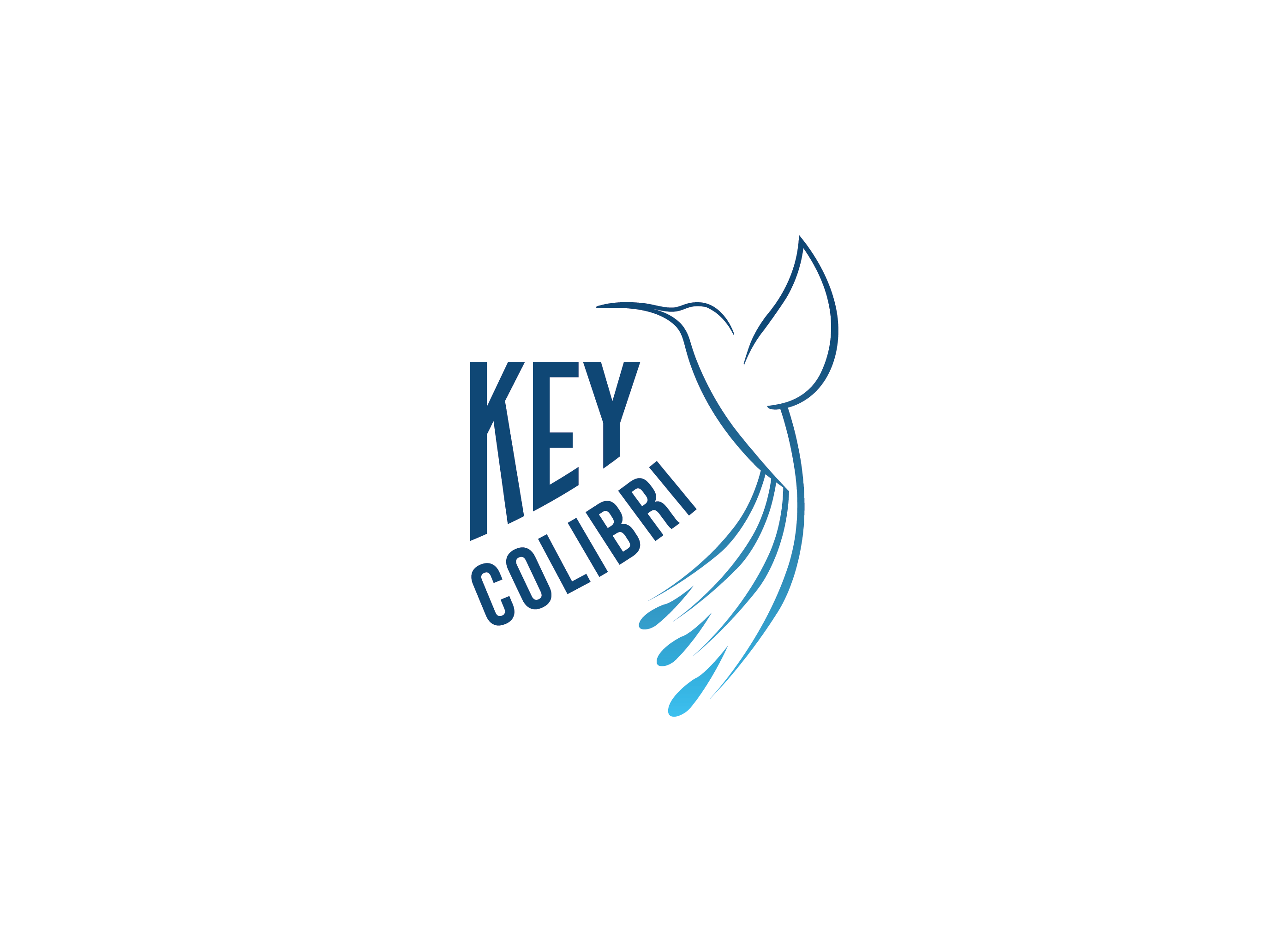 Diseño de Logo por dhamkith para KEY COLIBRI | Diseño #30259976