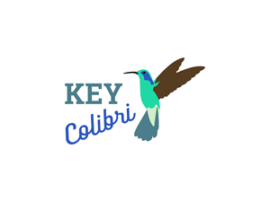 Design de Logo par BNdesigner pour KEY COLIBRI | Design : #30269103