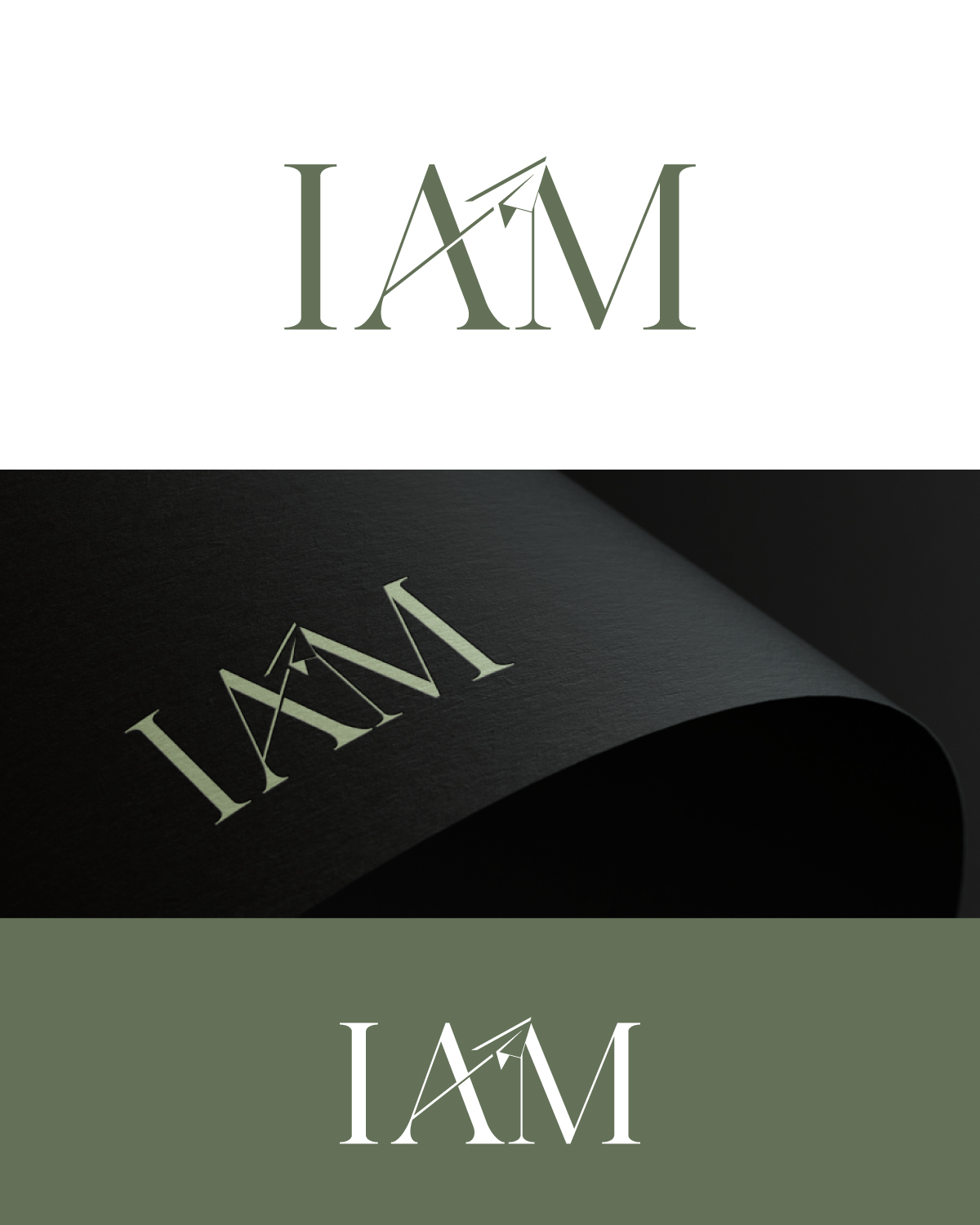 Logo Design by Falcon Kreative for this project | Design #30256776