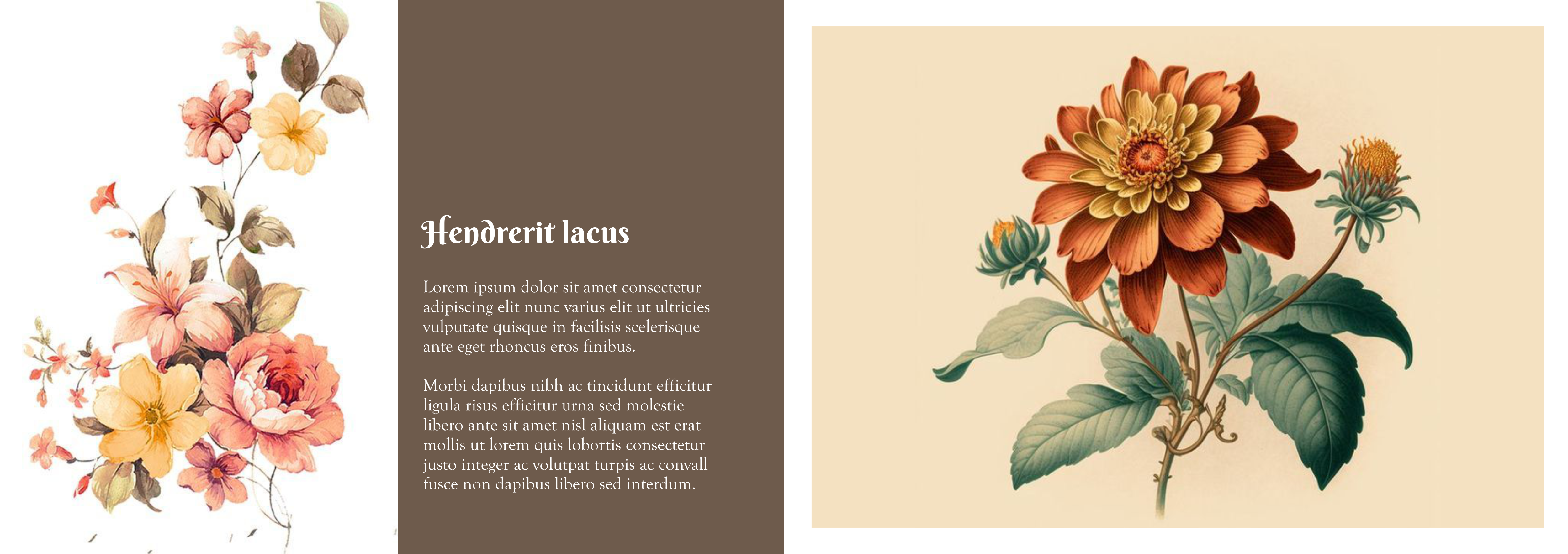 Catalogue Design by Silverfox Studio for this project | Design #30306625