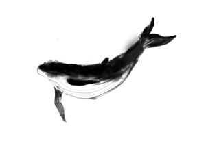 Illustration Design by Dan Voteroa for this project | Design: #30309339