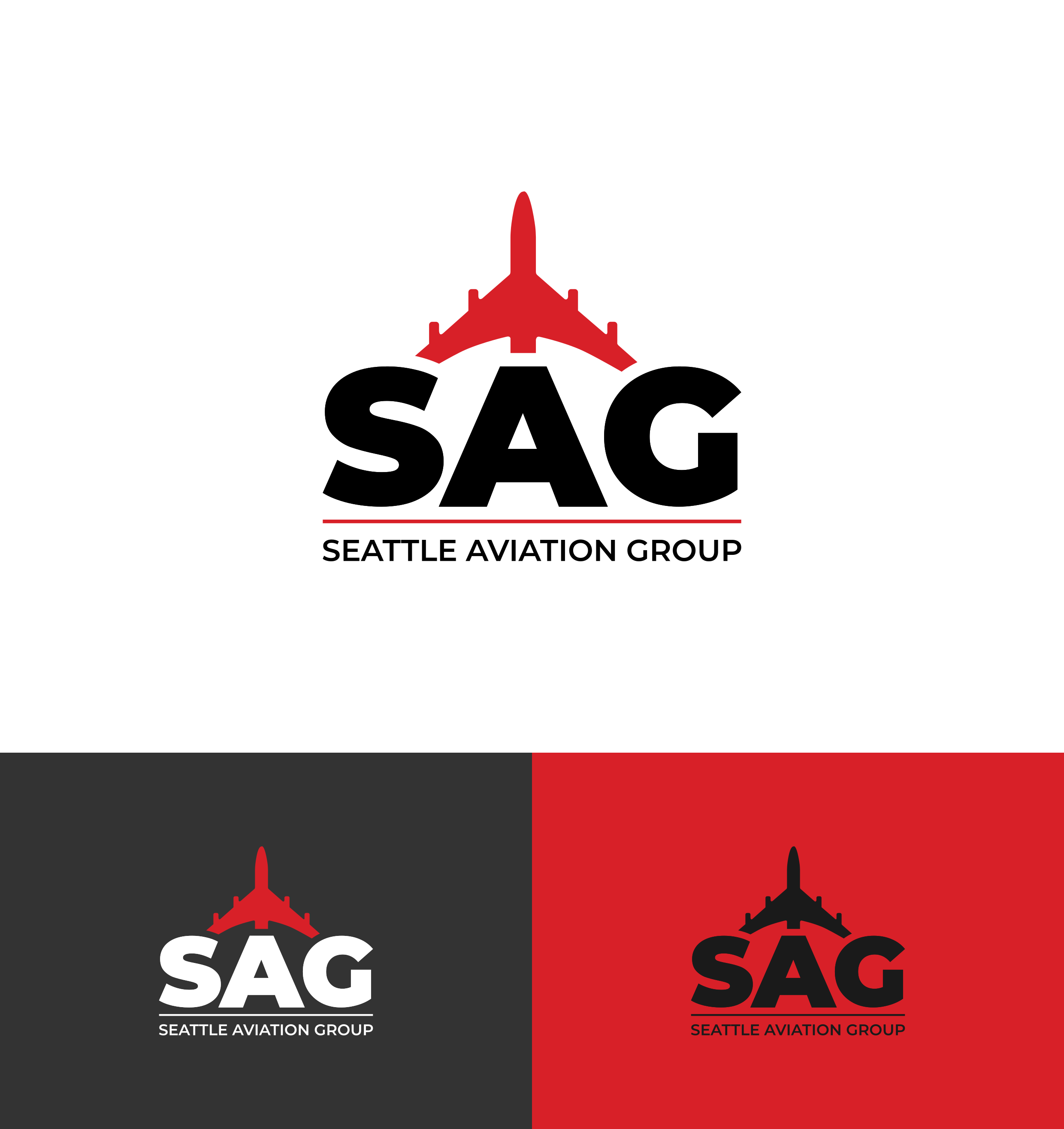 Design de Logo par VisionGraphics113 pour Seattle Aviation Solutions | Design #30268090
