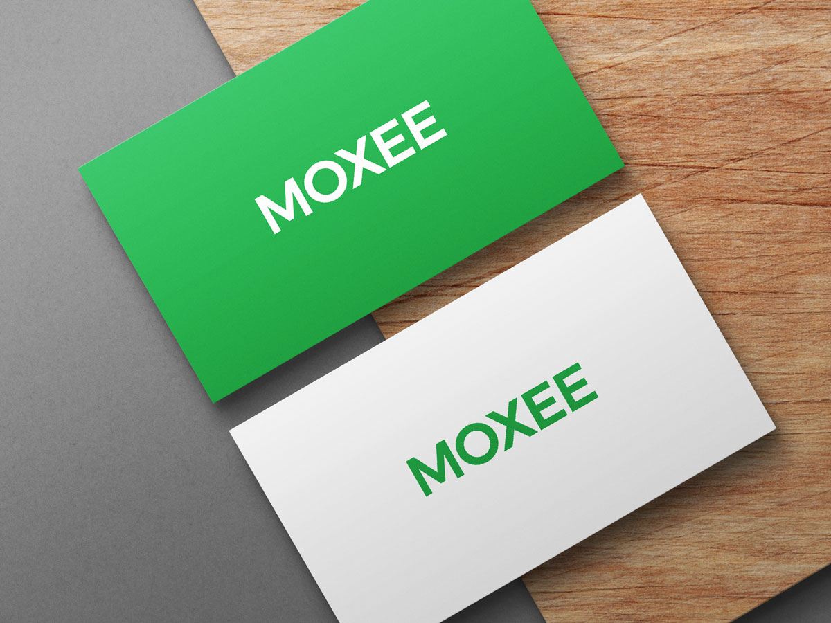 Logo Design by Shahbaz Studios for Webking | Design #30286266