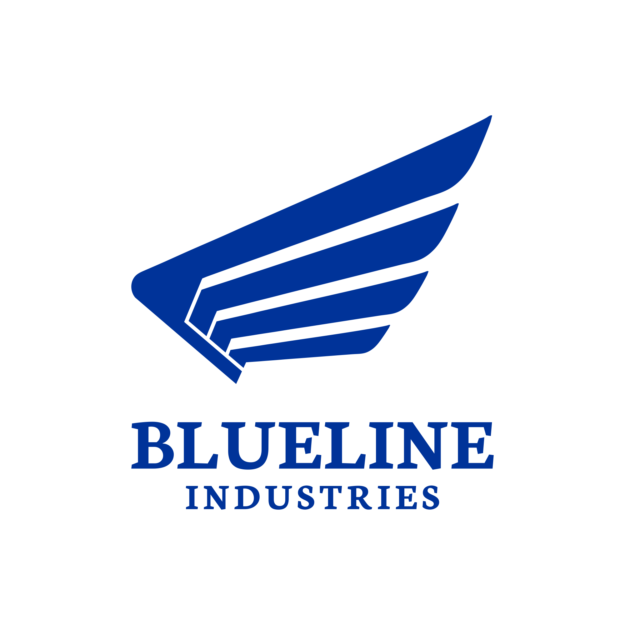 Logo Design by ngibad for this project | Design #30290050