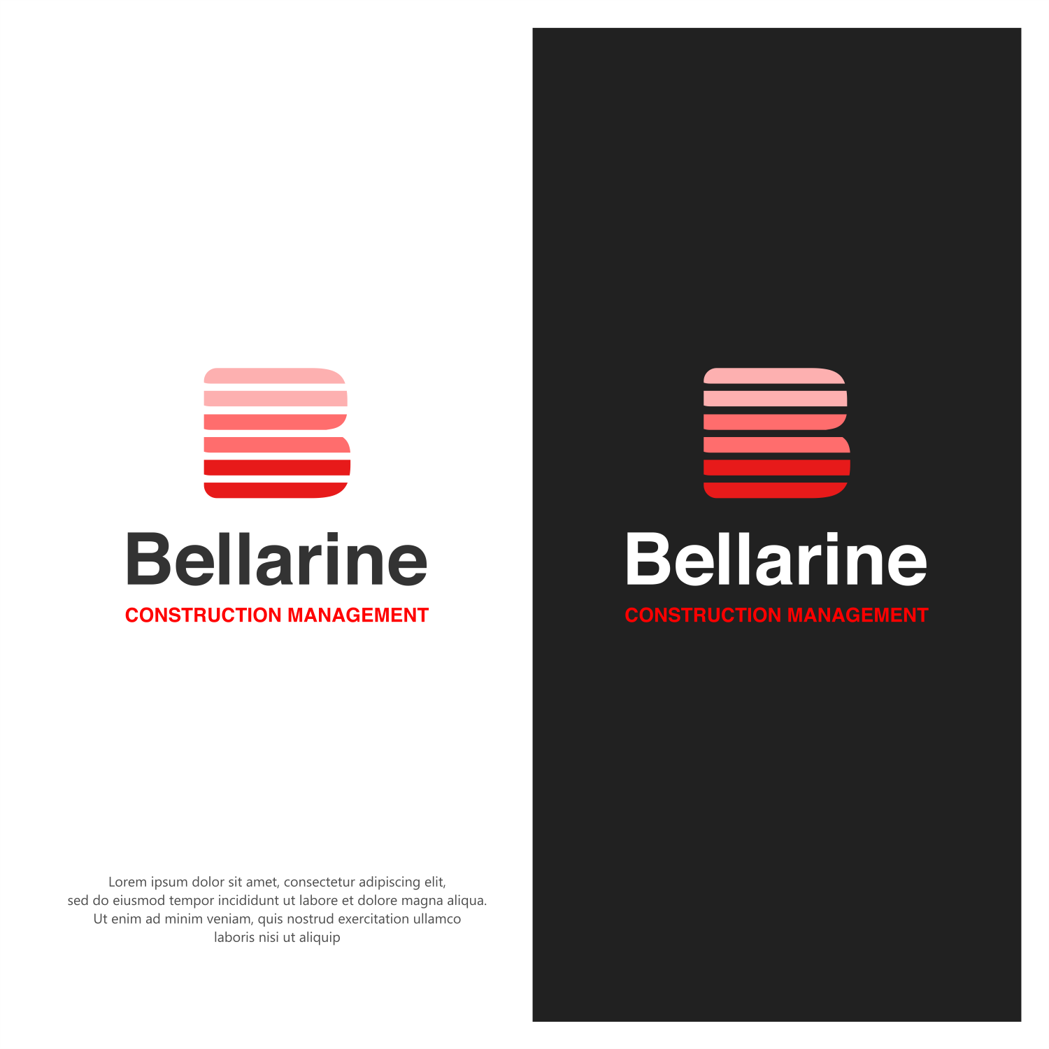Diseño Gráfico por ThiagoB para este proyecto | Diseño #30303501