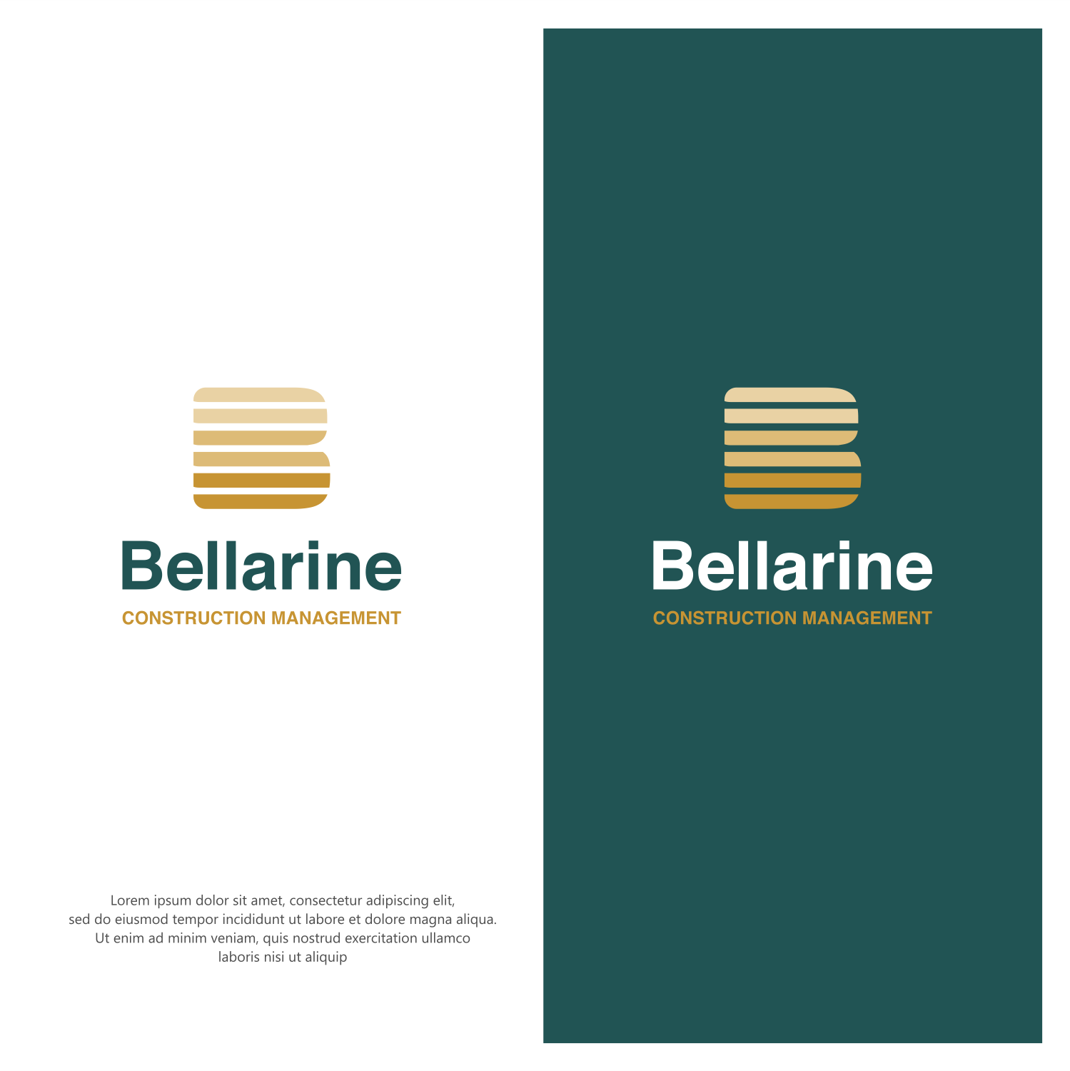 Diseño Gráfico por ThiagoB para este proyecto | Diseño: #30303502