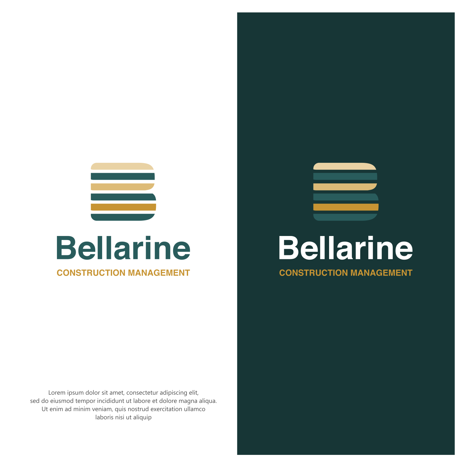 Graphic Design by ThiagoB for this project | Design #30303503