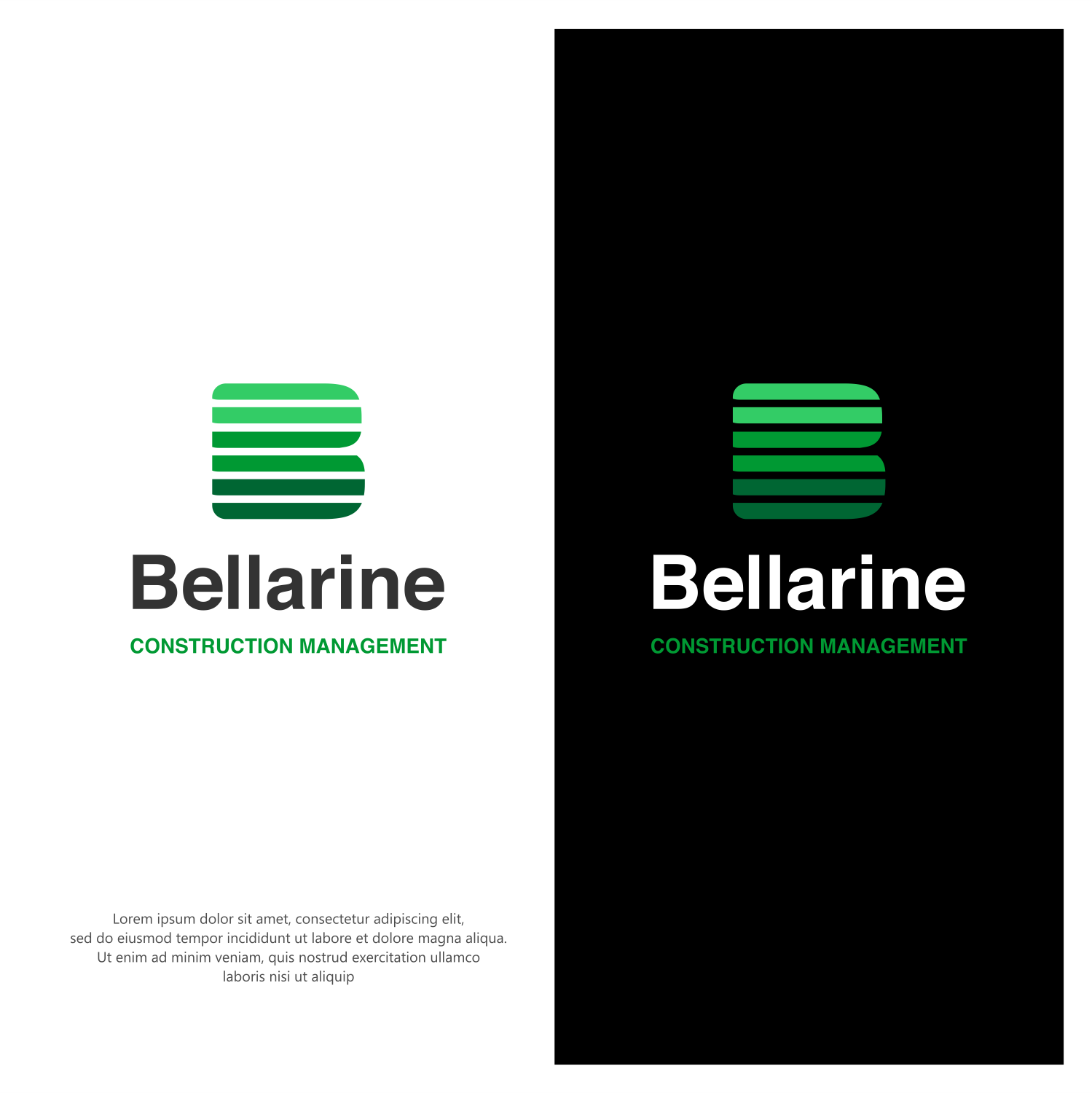 Diseño Gráfico por ThiagoB para este proyecto | Diseño #30303505
