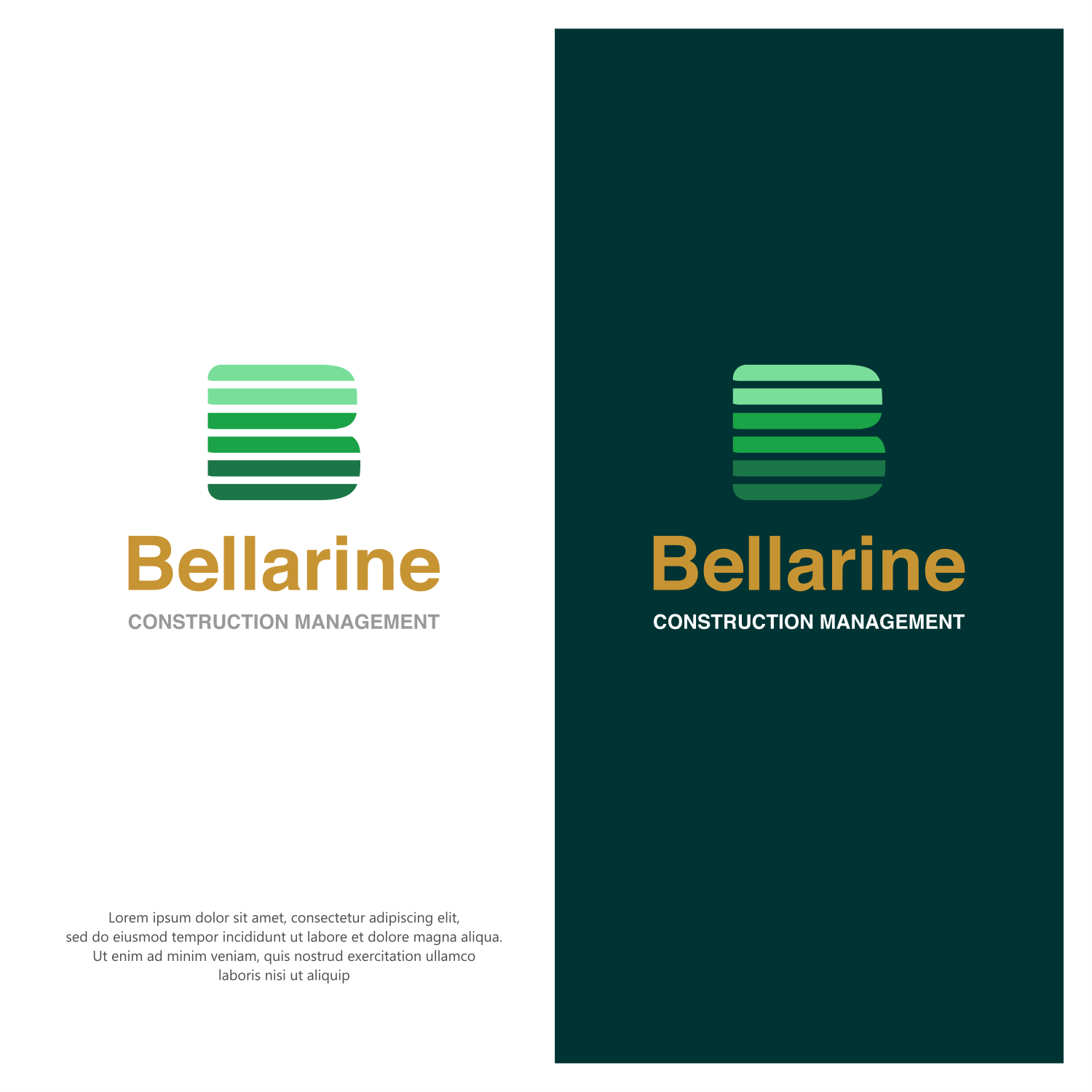 Graphic Design by ThiagoB for this project | Design #30352882