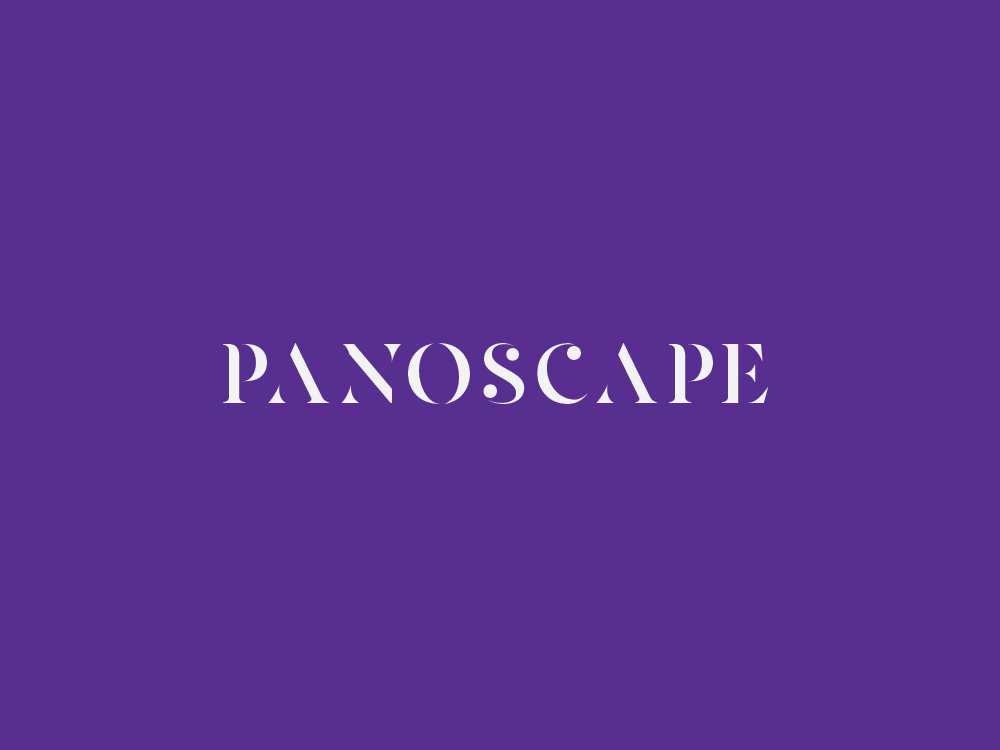 Logo Design by ThinkDesign for PanoScape  | Design #30461884