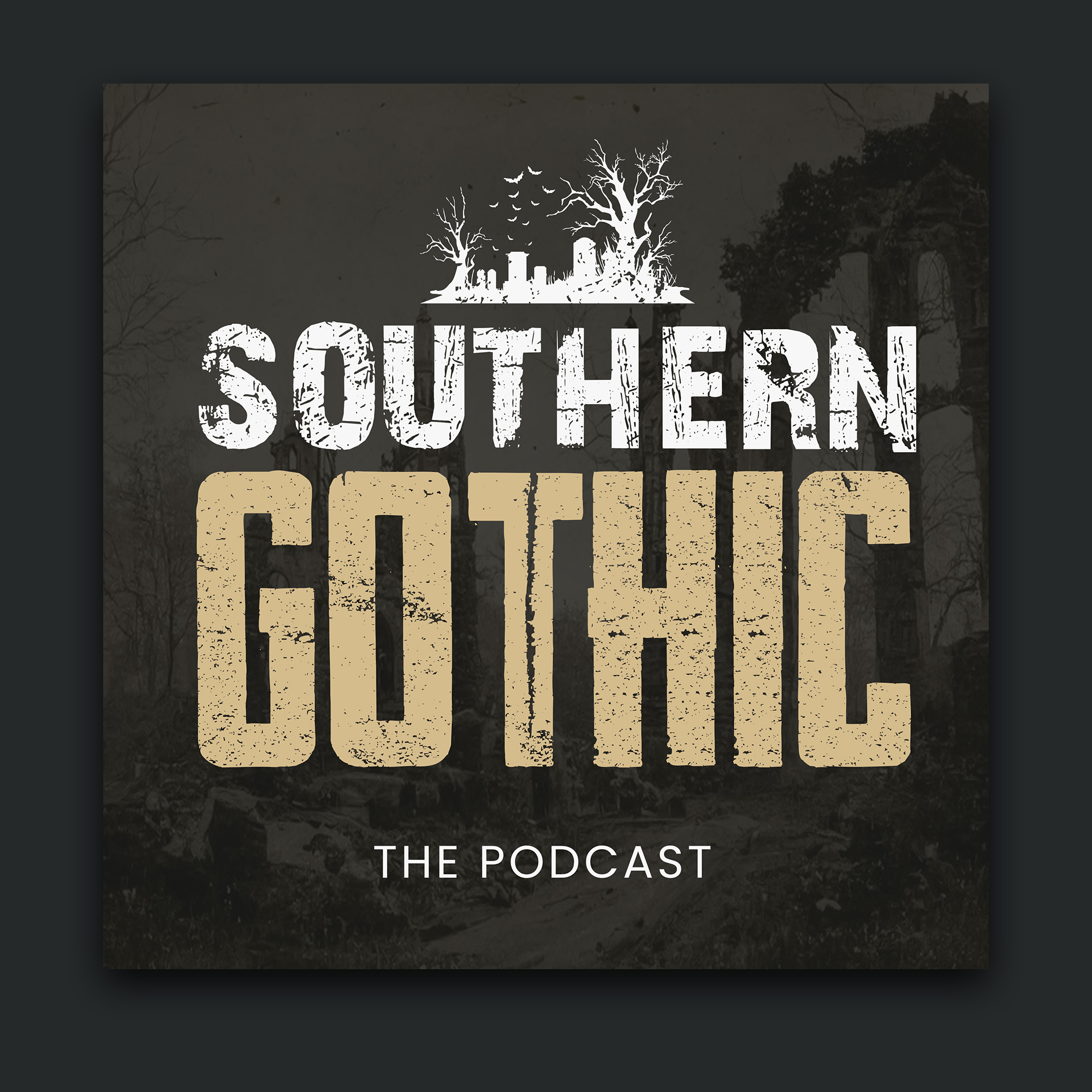 Podcast Design by debdesign for this project | Design #30308407