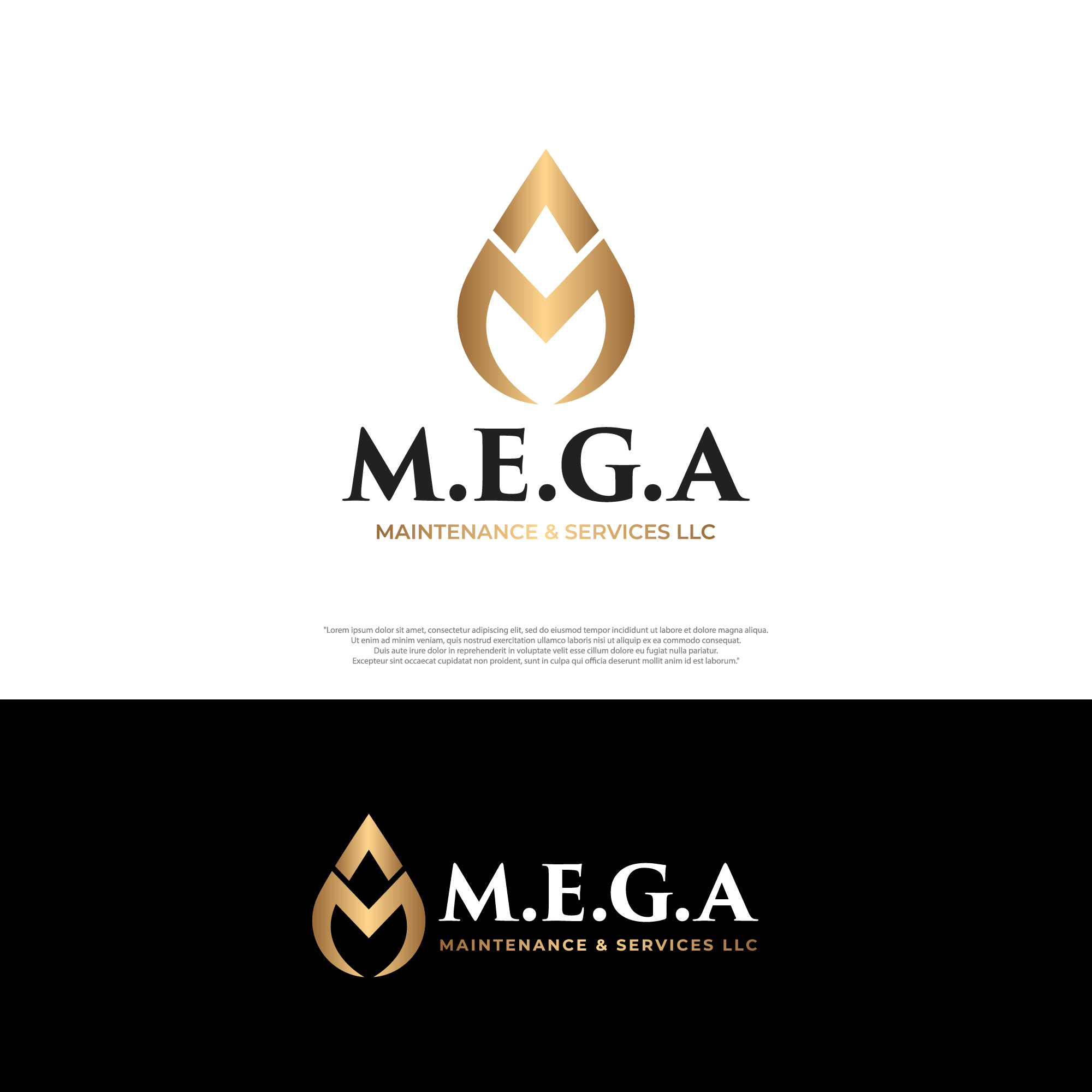 Logo Design by Anderwork for this project | Design #30355014