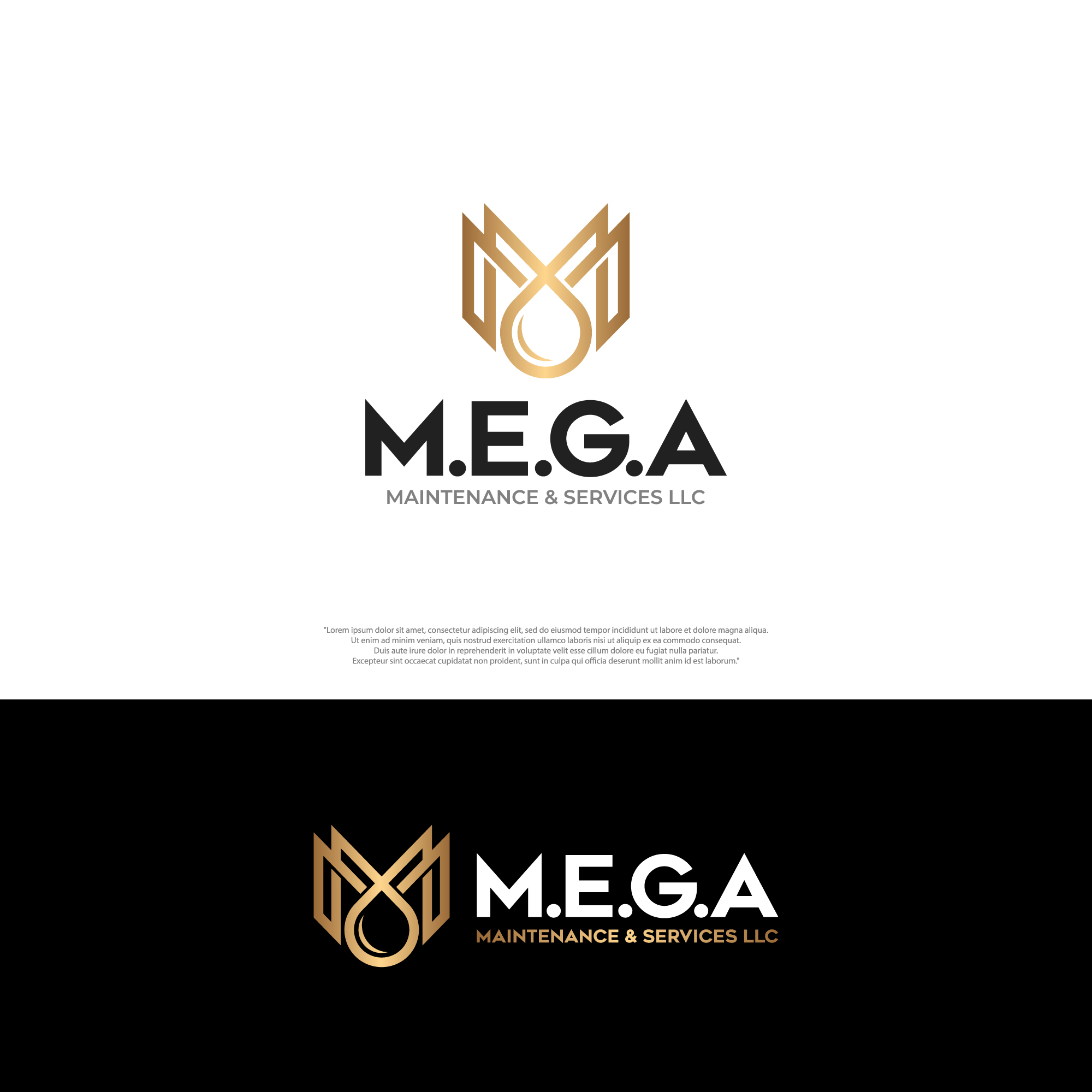 Logo Design by Anderwork for this project | Design #30355207