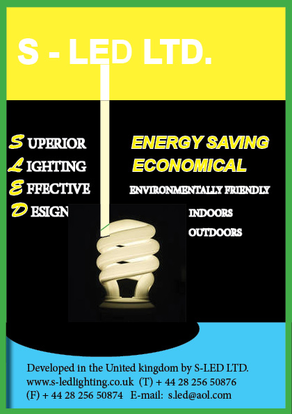 Flyer Design by bright star for this project | Design #869818