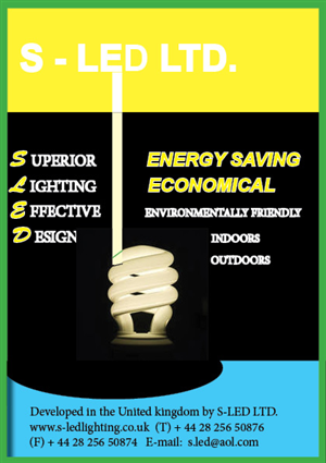 Flyer Design by bright star for this project | Design: #869818