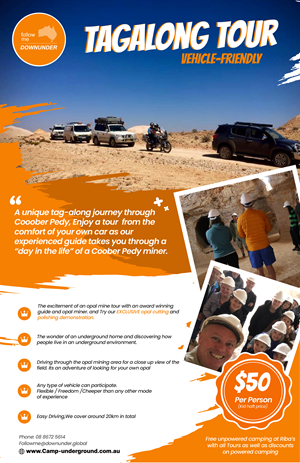 Flyer Design by Ngoc Pen for this project | Design: #30346913