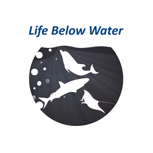 Logo Design by MBM Design