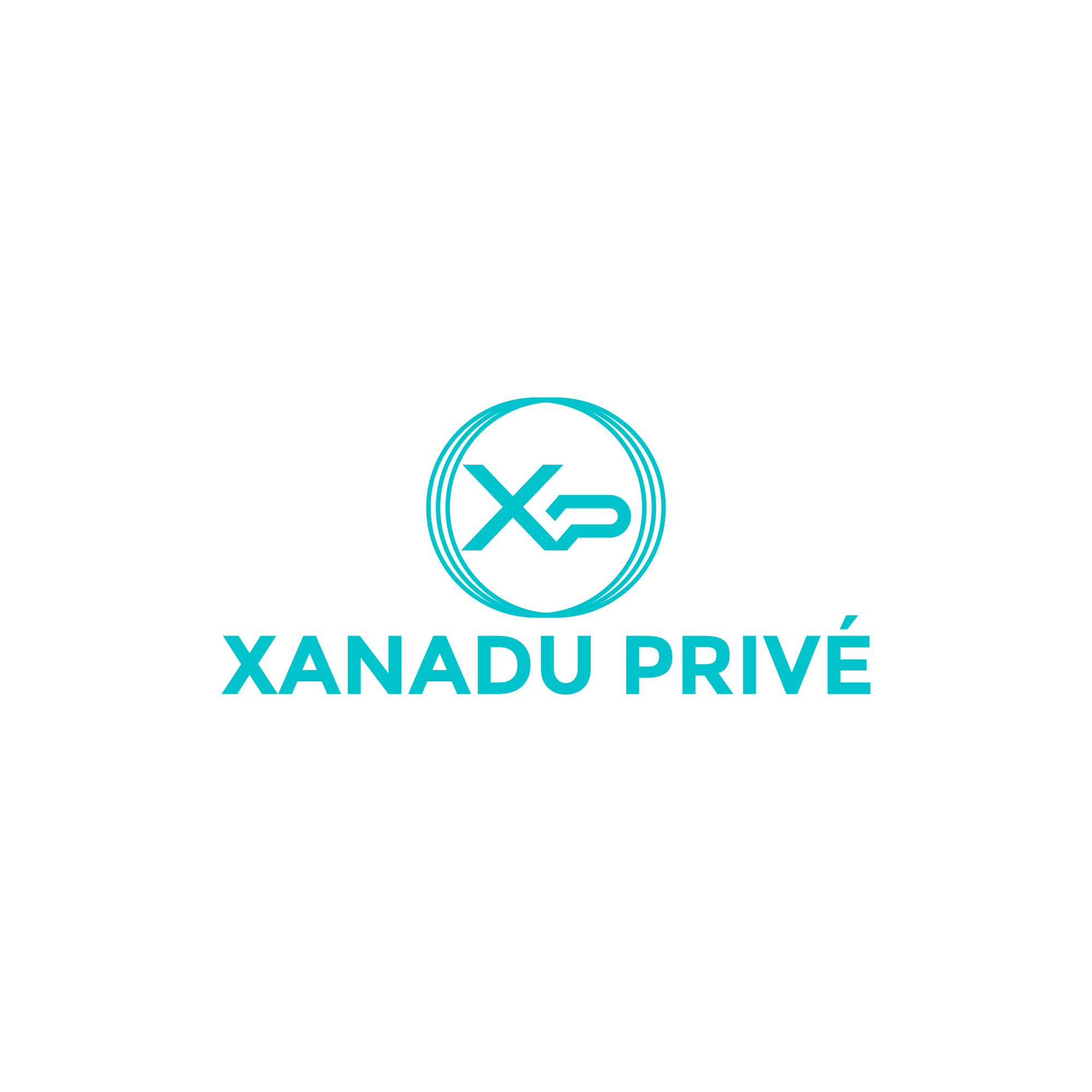 Logo-Design von BEANDESIGN^_^ für Xanadu Pins | Design #30312908