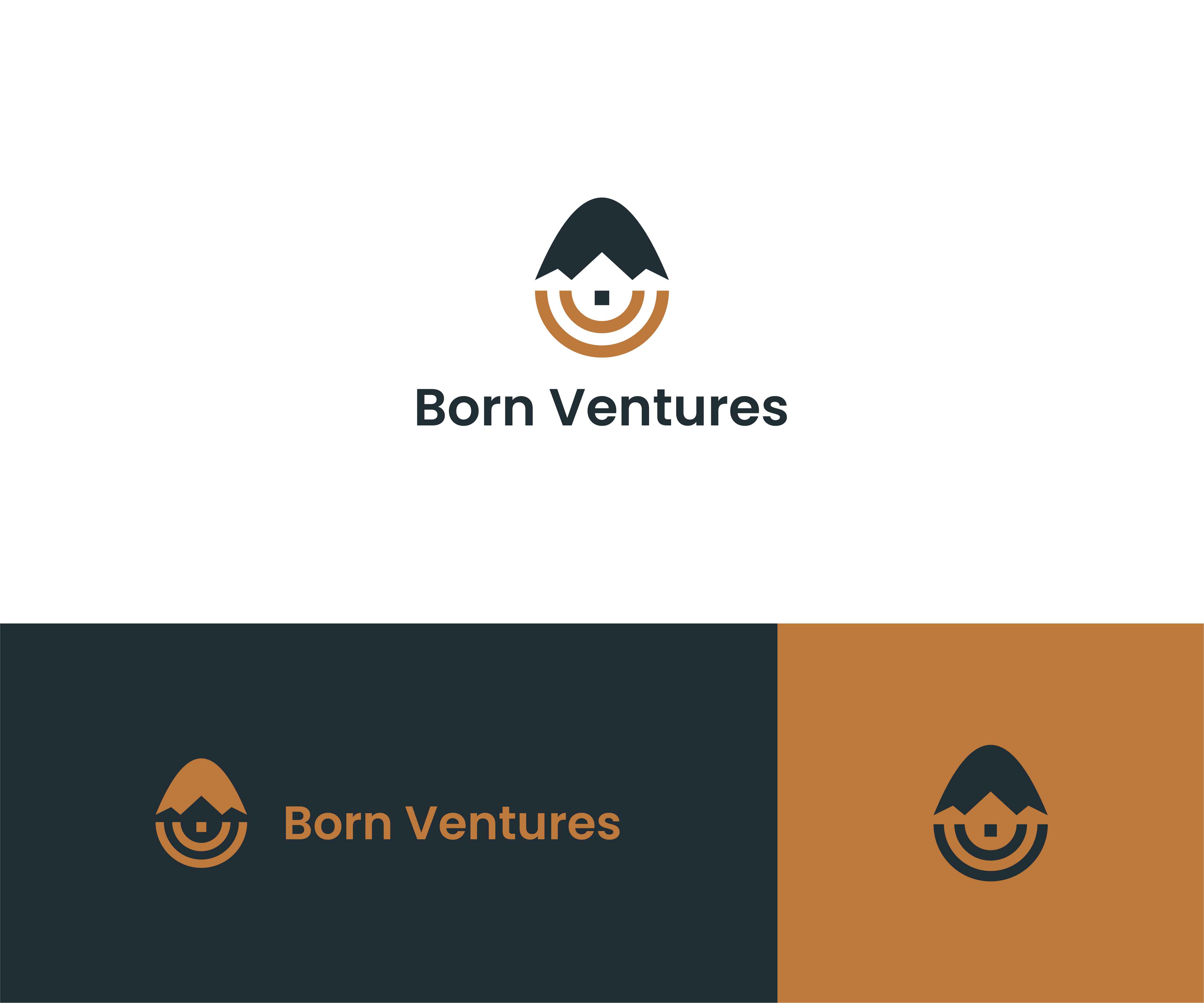 Logo Design by soriyeee for Born Ventures, LLC | Design #30347981
