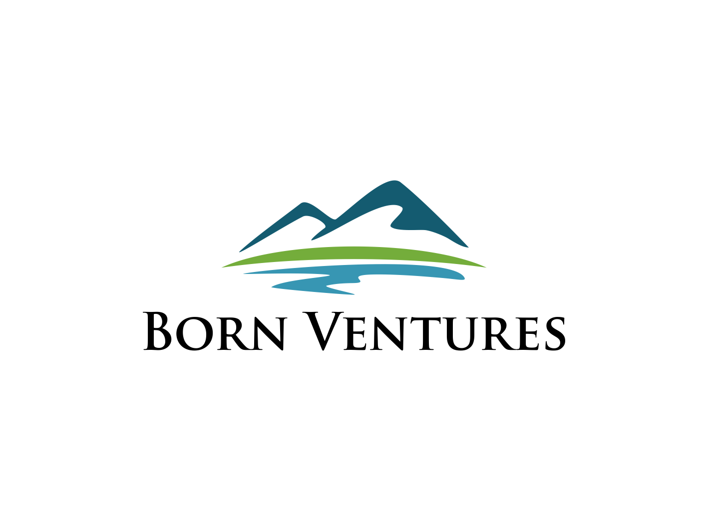 Logo Design by BNdesigner for Born Ventures, LLC | Design #30335333
