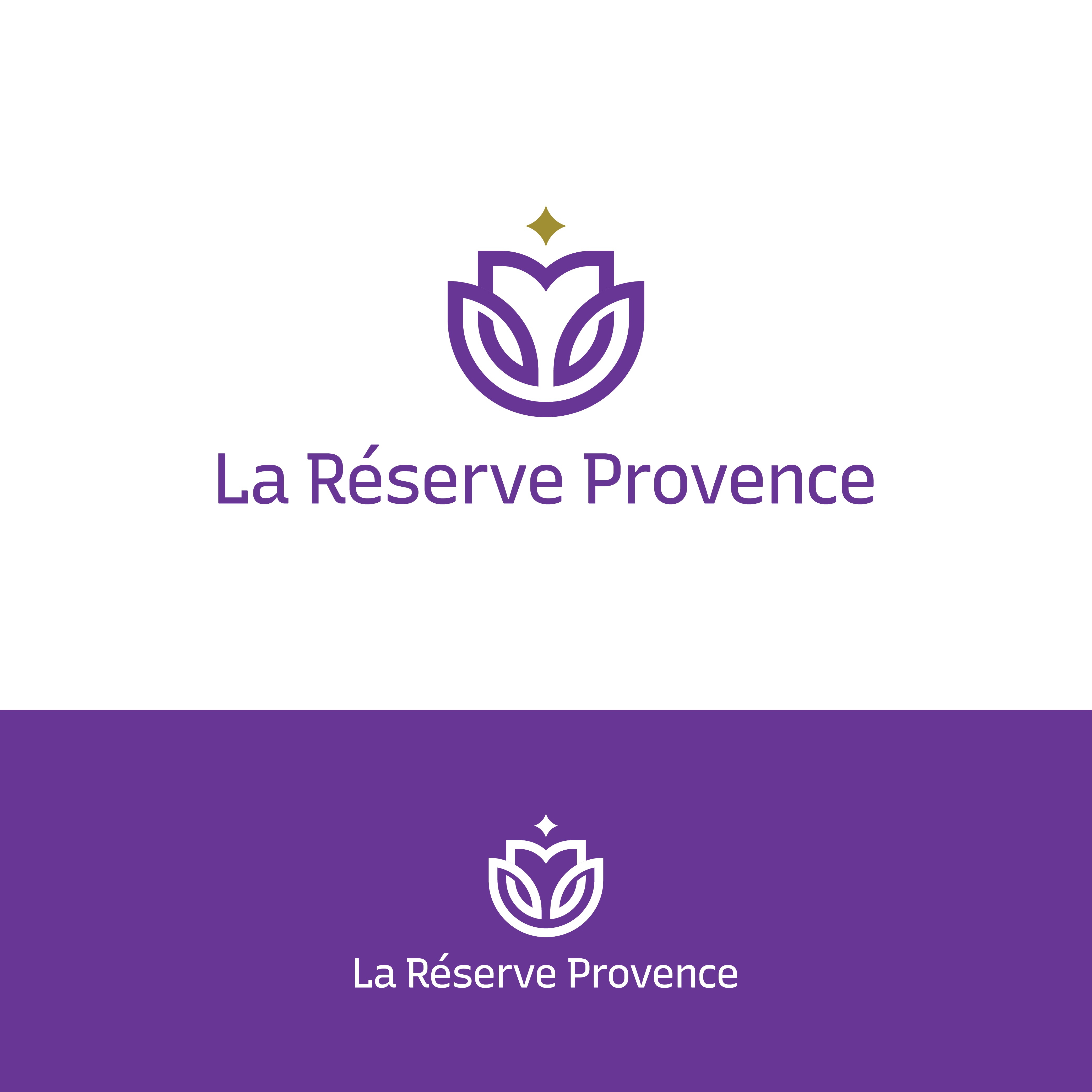 Logo Design by subs_graphics for HEATHWILL SARL | Design #30321396