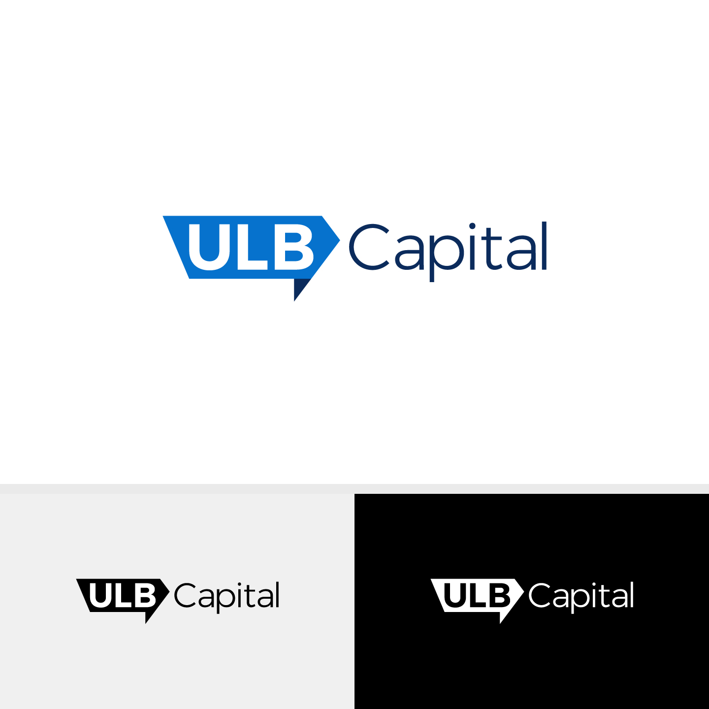 Logo Design by DiLion for this project | Design #30327725